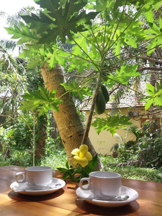 Phu Quoc Pomelo Garden Apartment Екстериор снимка