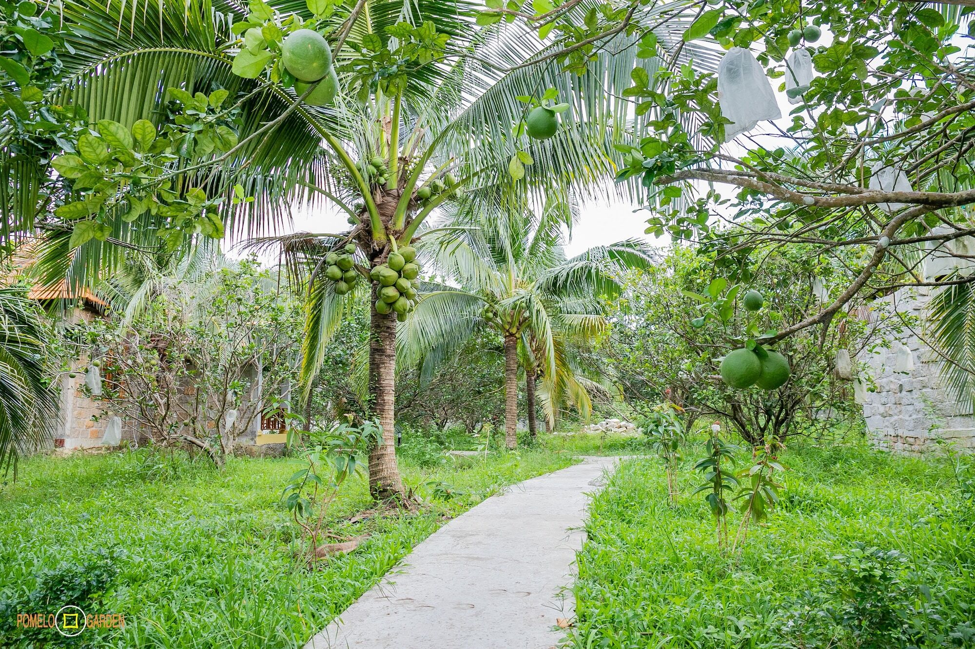 Phu Quoc Pomelo Garden Apartment Екстериор снимка