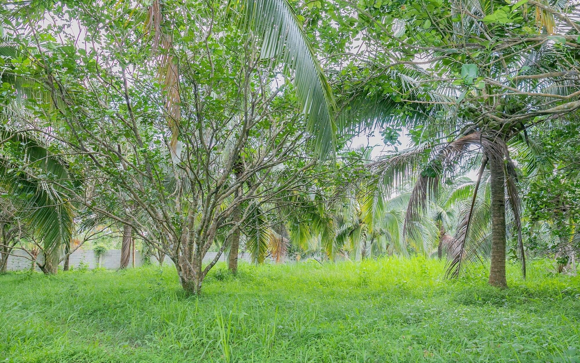 Phu Quoc Pomelo Garden Apartment Екстериор снимка